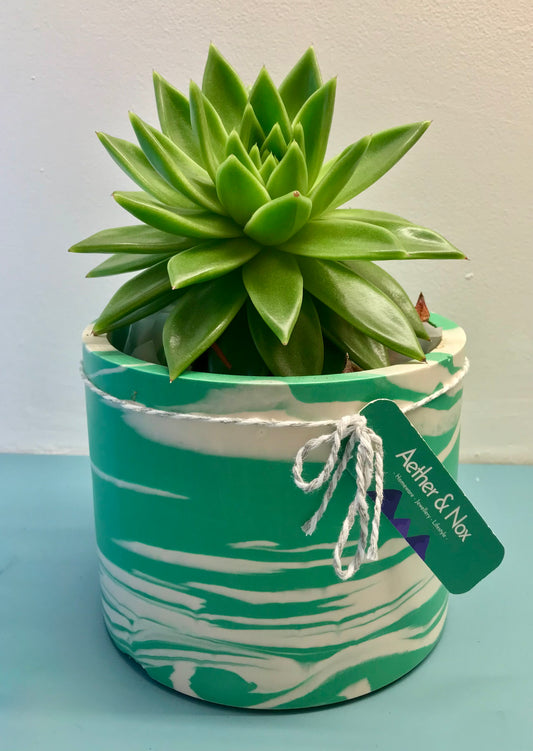 Aether & Nox Jessmonite plant pot holders